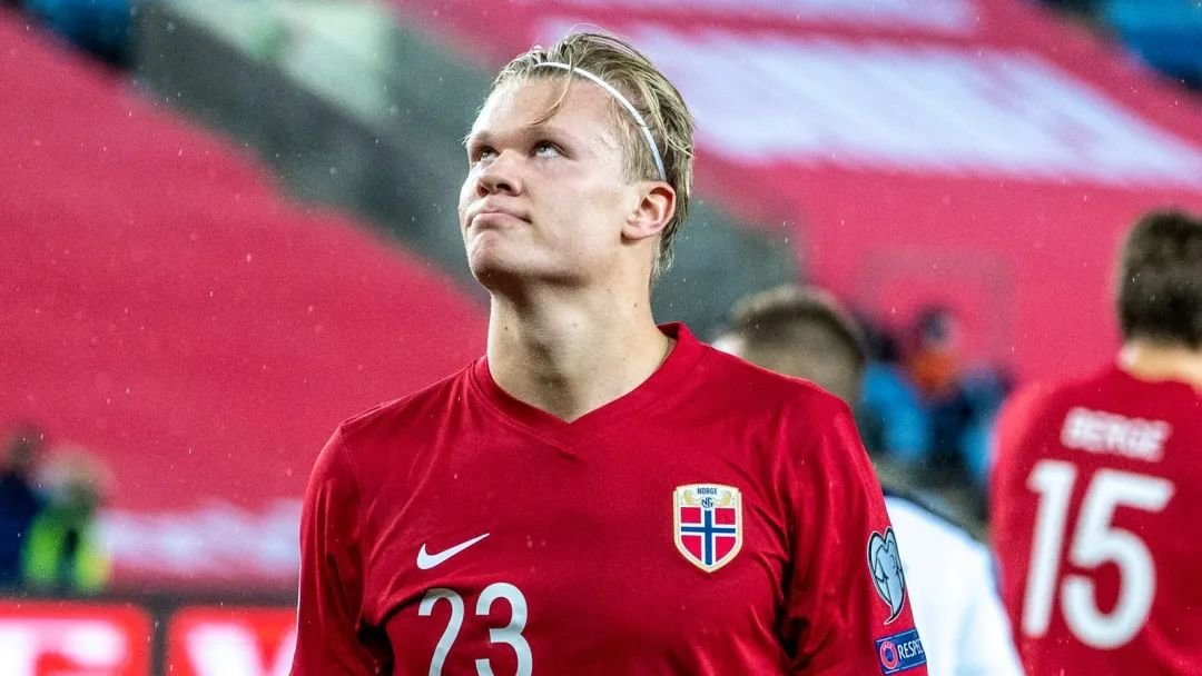 摩根士丹利上调行业评级